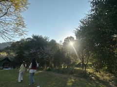 -铁山坪森林公园