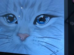 -Apple 零售店(Canton Road)