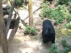 -关西瀑布