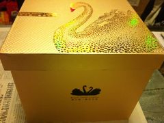 IMG_1102-BLACKSWAN黑天鹅(环球店)