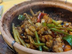 -天宝食坊·啫啫煲大排档(西华路店)