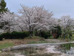 -堤角公园