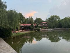 -橘洲1910花园江景西餐厅