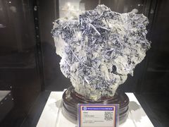 -中国地质大学逸夫博物馆