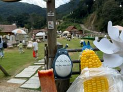 -龙岩森林水乡景区