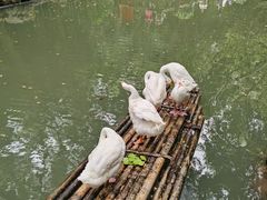 -兰亭风景区