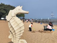 -南沙蒲洲花园