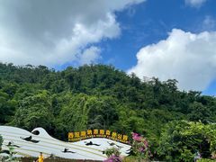 -西双版纳原始森林公园