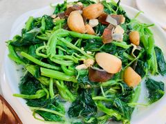 上汤苋菜-腰记饭店(龙源路店)