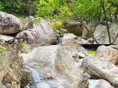 -洛阳白云山景区