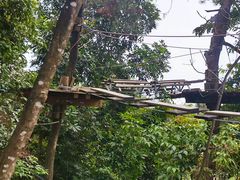 -芦仙山景区-飞越丛林探险乐园