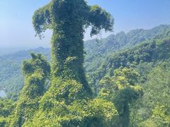 -青城山
