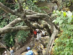 -南诏风情岛