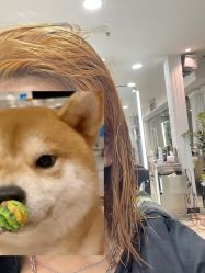 -新晨·SALON·形象造型