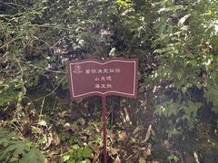 -终南山南五台景区