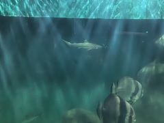 -上海长江河口科技馆