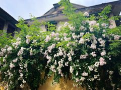 -颐和路民国时期公馆风貌区