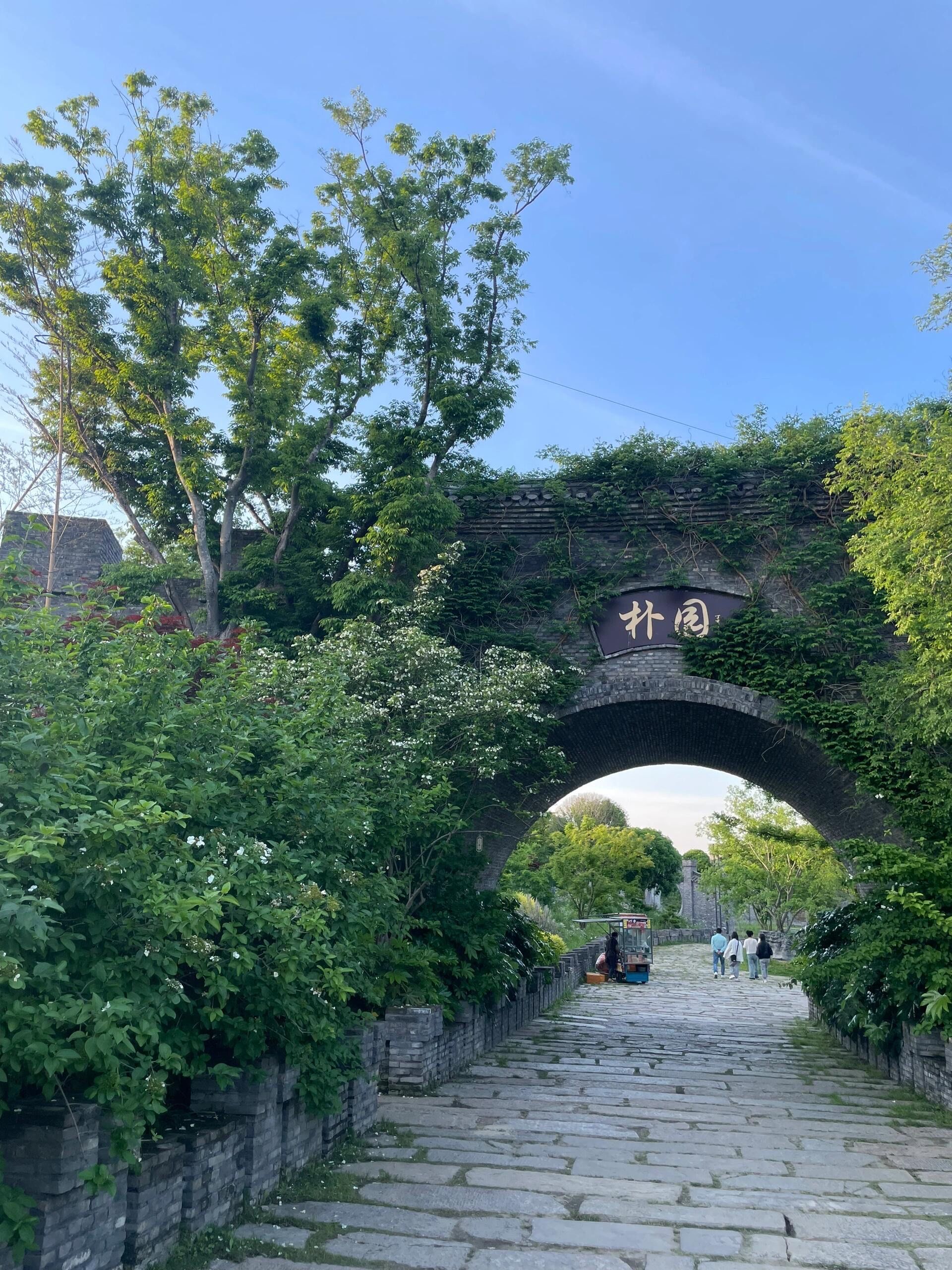 n区别于传统园林,这里是朴树生产基地,因此得名朴园