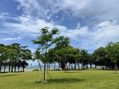 -深圳湾公园(南山区)
