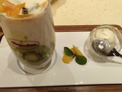 奇异绿洲&nbsp;酸奶奶昔-哈根达斯(国瑞店)