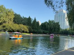-团结湖公园