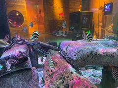 -沈阳海洋探索中心