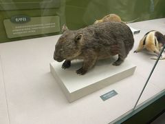 -国家自然博物馆