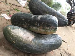 iphone_upload_pic-关林