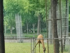 -石家庄市动物园