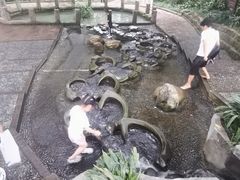 -成都市活水公园