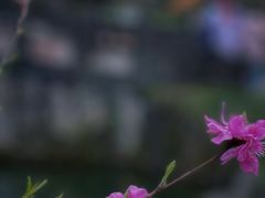 -常德桃花源景区