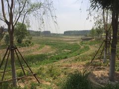 -东郊湿地公园