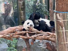 -哈尔滨北方森林动物园