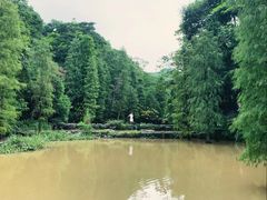 -云溪植物园