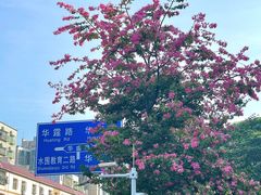 -太平洋影城(深圳8号仓店)