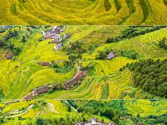 -紫鹊界梯田景区