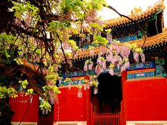 -北京国子监胡同