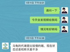 -雨林宠物医院 非犬猫异宠专科