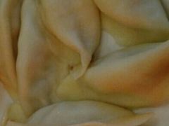 -客临百思德·东北特色馆(龙湖时代天街店)