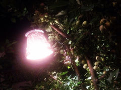 iphone_upload_pic-红墙花园酒店