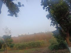 -张坝桂圆林公园