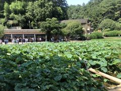 -韶山毛泽东同志故居