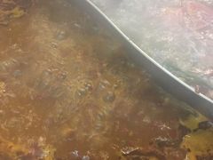 -老石黑山羊毛驴肉火锅(金凯广场店)