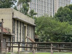 -成都动物园