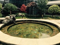 -中家鑫园温泉酒店鑫悦汤泉