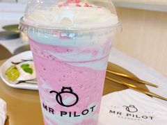 -飞行喵MR PILOT|猫舍·猫咖(静安大融城店)