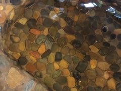 -天门沟九州驿站树上汤泉