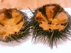 -海胆小馆(东北水饺·春柳店)