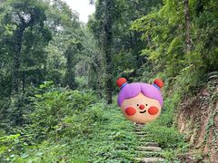 -素山寺森林公园