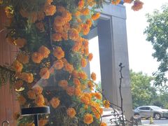 -九月里.自由花园餐厅